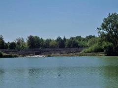 101PARC AUX OISEAUX DANS L AIN 2016 1_000031